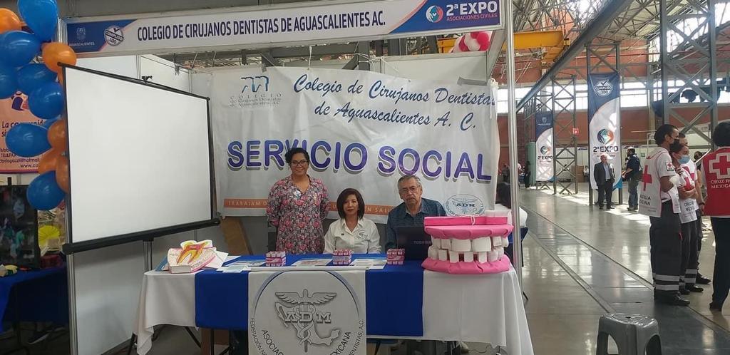 Servicio Social